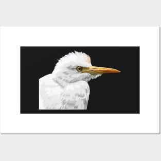 Cattle egret Posters and Art